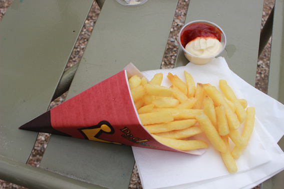 De clercq 薯条之王