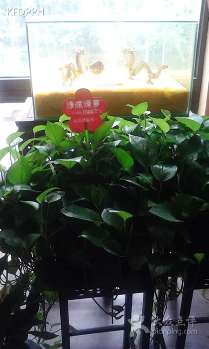 九九缘鮰鱼品鉴馆