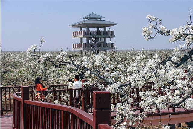 武汉梨园景区旅游攻略