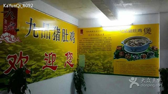 九品(俊辉)猪肚鸡