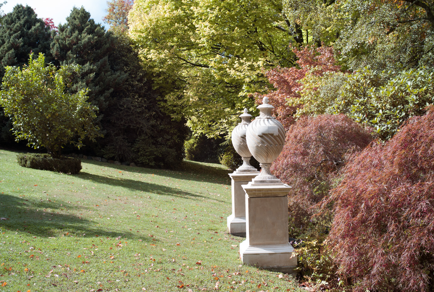 Forest Glade Garden