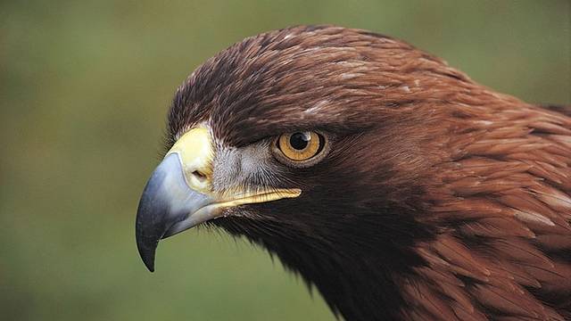 托撒契国家公园