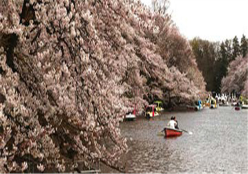 井之头恩赐公园