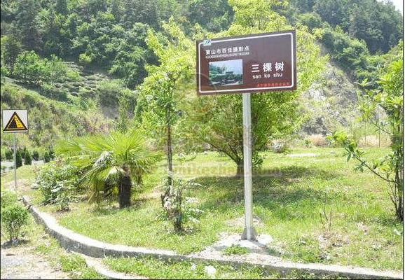 黄山三棵树景区