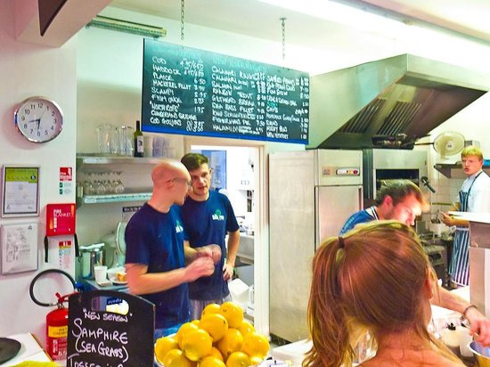 The Sea Tree