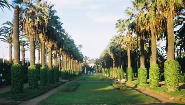 Parc de la Ligue Arabe