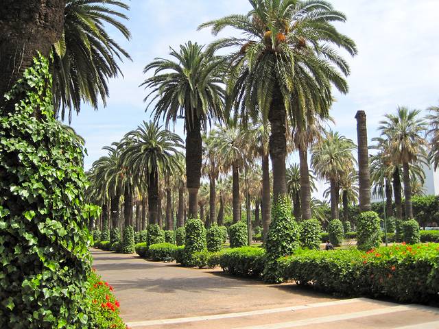 Parc de la Ligue Arabe