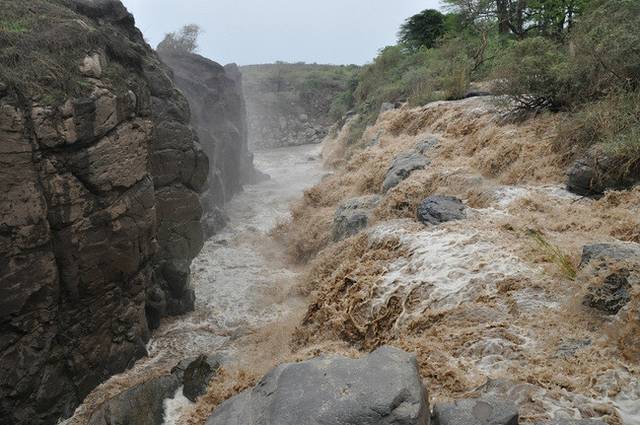 阿瓦什国家公园