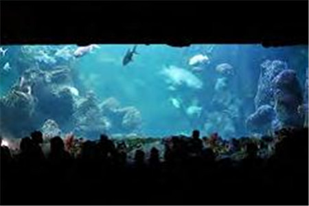 安佐尔梦幻公园