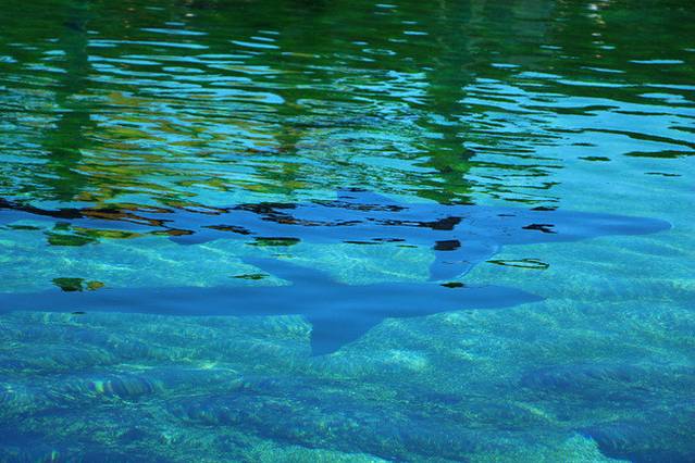 菲利普港海角海洋公园