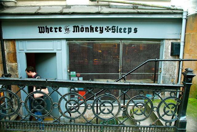 Where the Monkey Sleeps