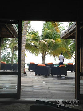 Dhoni Bar