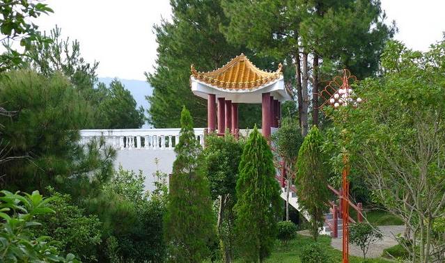 桂东三台山森林公园