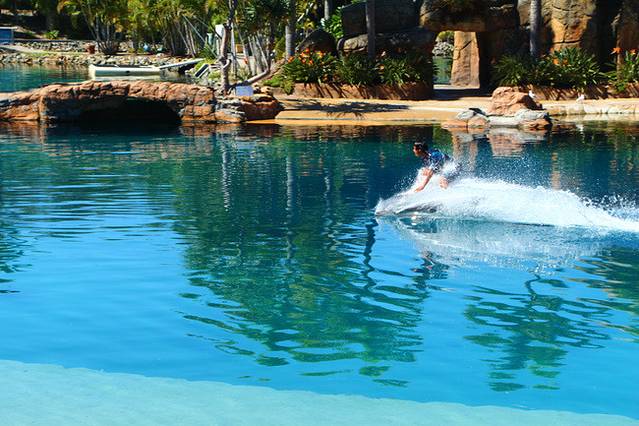 菲利普港海角海洋公园