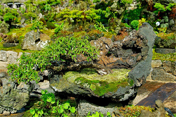 Seokbujak Theme Park