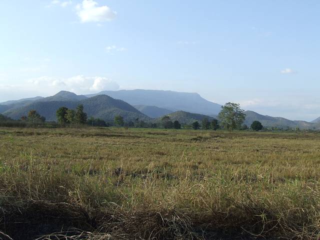 兰甘亨国家森林公园