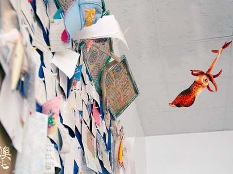 2021岛澳七七 旅游攻略 门票 地址 问答 游记点评 澎湖旅游旅游景点推荐 去哪儿攻略