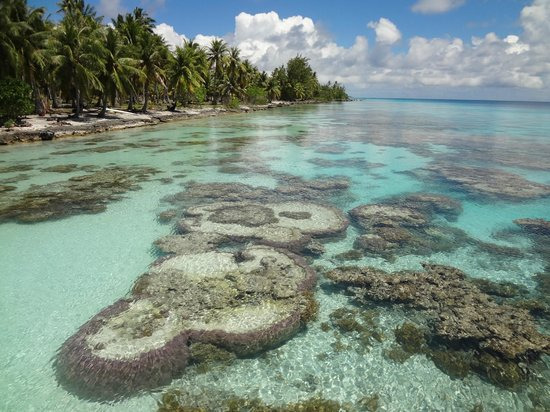 Dive Spirit Fakarava