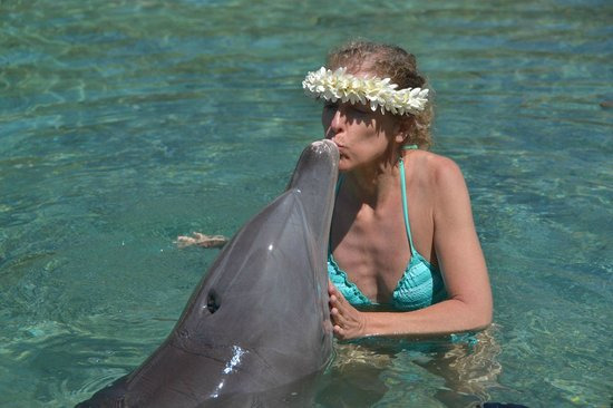 茉莉雅岛海豚中心