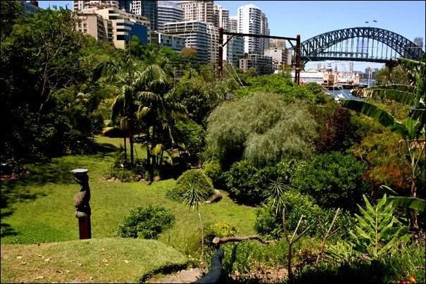 温迪的神秘花园