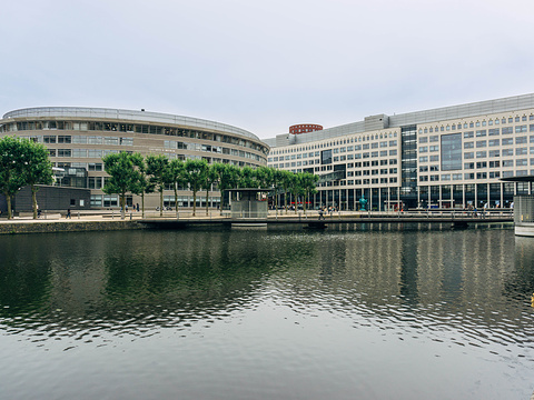 海牙大学de haagse hogeschool