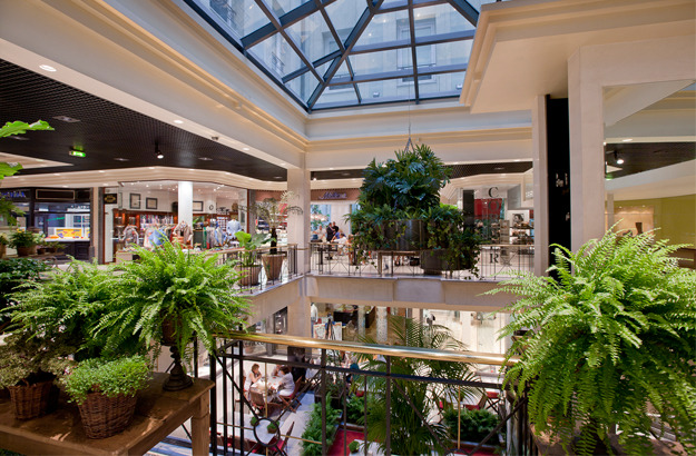 El Jardín de Serrano