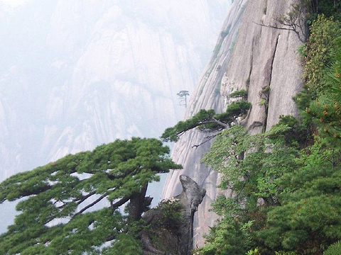 2019掷钵峰_旅游攻略_门票_地址_游记点评,衡山旅游景点推荐 - 去哪儿