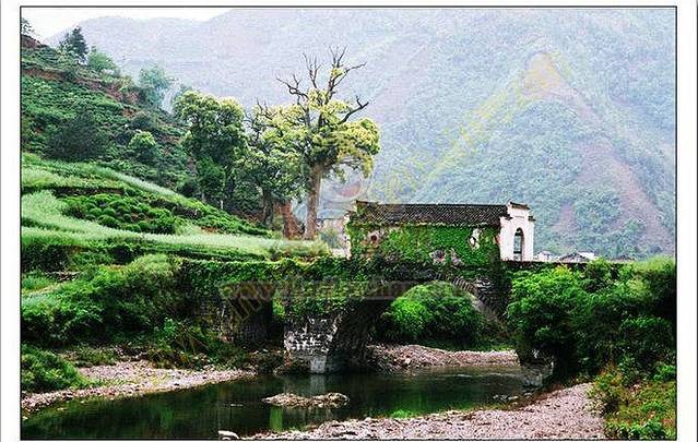 黄山三棵树景区