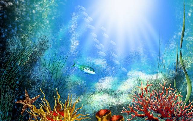 休爱里自然生活公园