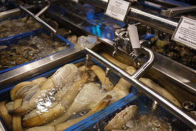 Taylor's Shellfish Farm