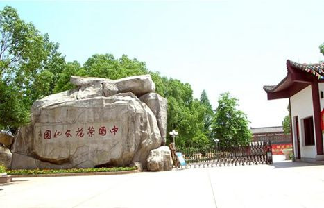 中国茶花文化园