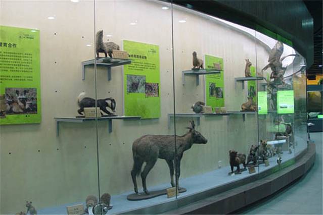 陕西自然博物馆