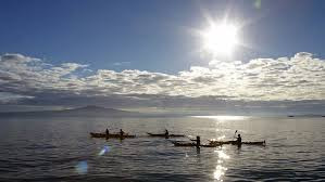The Original Rangitoto Sea Kayak tour