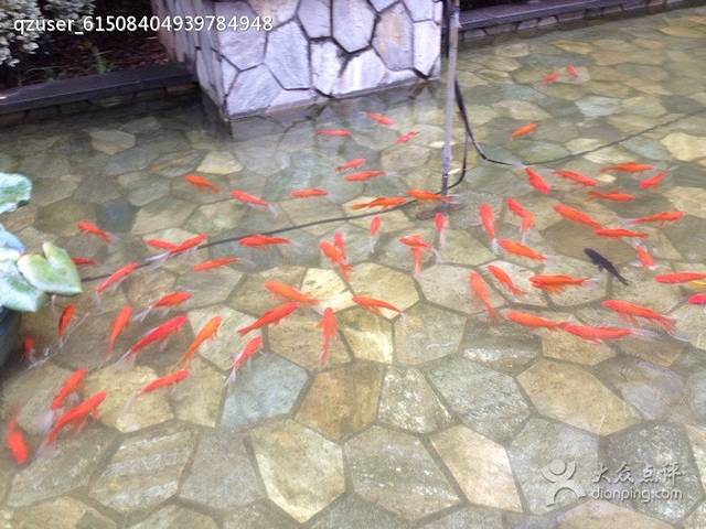 君亭红牛酒店·餐厅