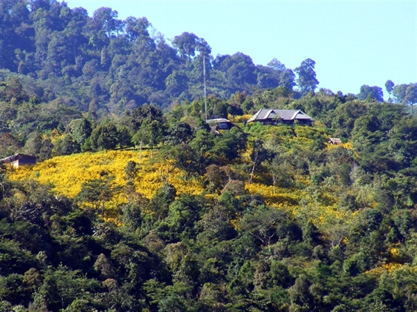 阿卡族山地部落