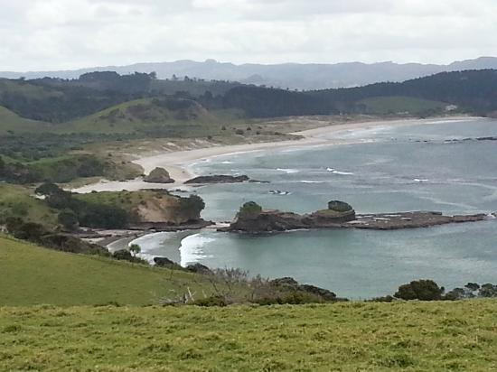 陶哈拉努伊地区公园