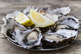 Clevedon Coast Oysters