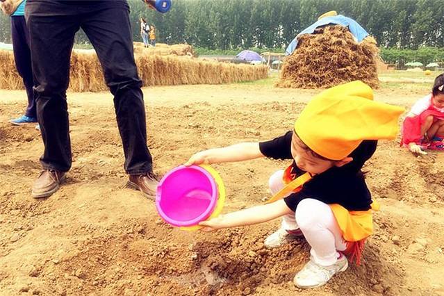 田妈妈蘑法森林农乐园