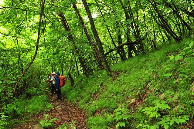 太白山帐篷营地
