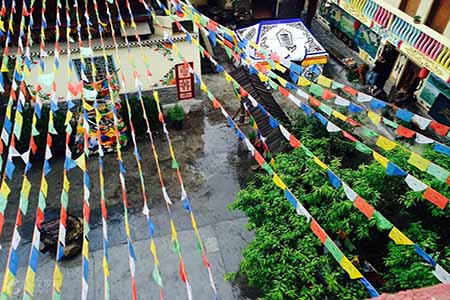 天堂部落藏家风情园