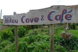 Nikau Cave & Cafe