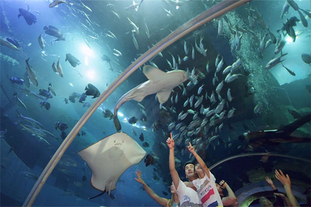 威海神游海洋世界