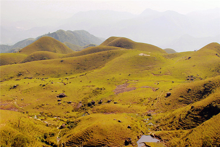 2017这里有南方最大的草原_鸡笼顶评论 - 去哪