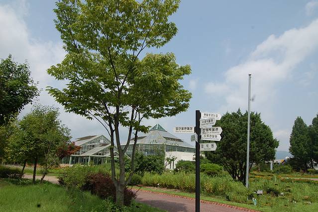 江原道立花木园