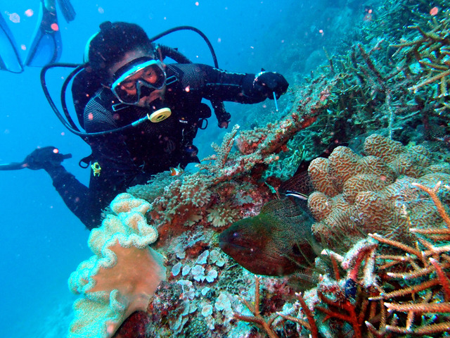 Laguna Redang Island Resort Diving