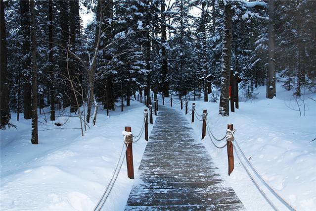 长白山高原冰雪训练基地