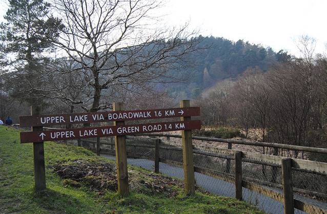 威克洛山脉国家公园