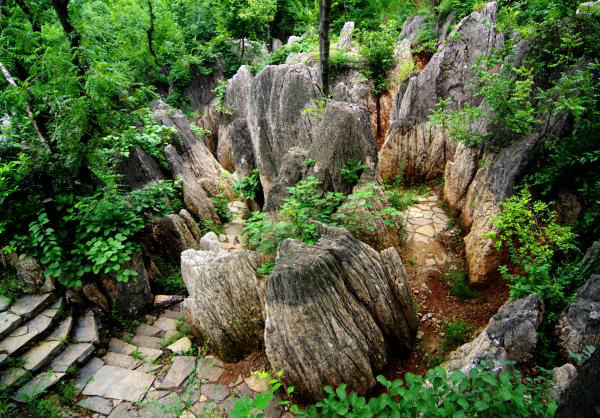 八公山道立公园