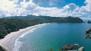 科罗曼德尔半岛