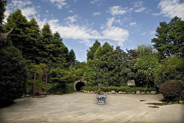 峨眉山市竹叶青生态茗园